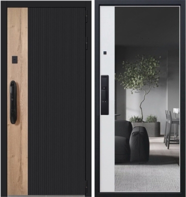 Дверь Конструктор» с зеркалом и  биометрическим замком Smart lock DZ 888